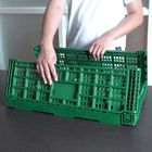 Клети зеленого складного плода пластиковые портативные для домашних покупок