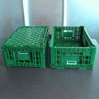 Зеленая пластиковая клеть 600x400x220cm хранения для овоща плода